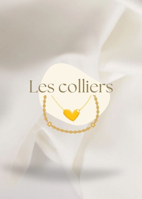 Les colliers en acier inoxydable